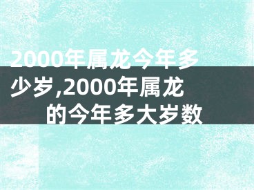 2000年属龙今年多少岁,2000年属龙的今年多大岁数