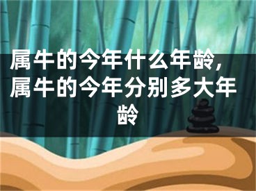 属牛的今年什么年龄,属牛的今年分别多大年龄