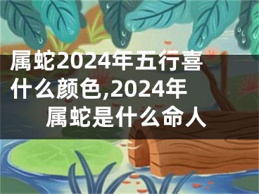 属蛇2024年五行喜什么颜色,2024年属蛇是什么命人