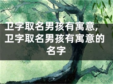 卫字取名男孩有寓意,卫字取名男孩有寓意的名字