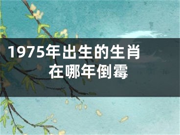 1975年出生的生肖在哪年倒霉