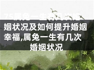 75属兔一生有几次婚姻状况及如何提升婚姻幸福,属兔一生有几次婚姻状况