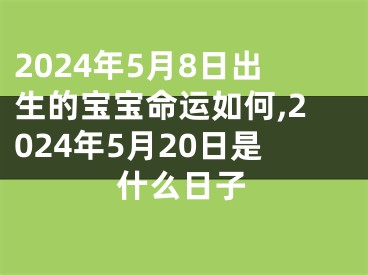 2024年5月8日出生的宝宝命运如何,2024年5月20日是什么日子