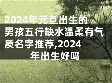 2024年元旦出生的男孩五行缺水温柔有气质名字推荐,2024年出生好吗