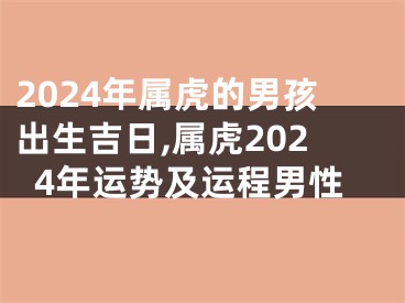 2024年属虎的男孩出生吉日,属虎2024年运势及运程男性
