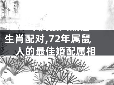 1972年属鼠人最佳生肖配对,72年属鼠人的最佳婚配属相