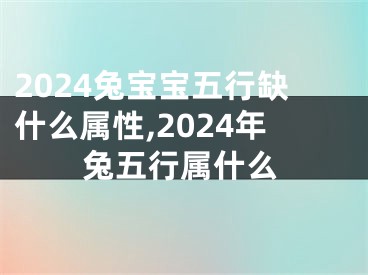 2024兔宝宝五行缺什么属性,2024年兔五行属什么