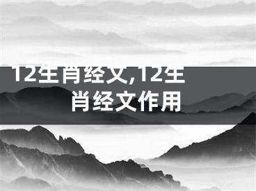 12生肖经文,12生肖经文作用