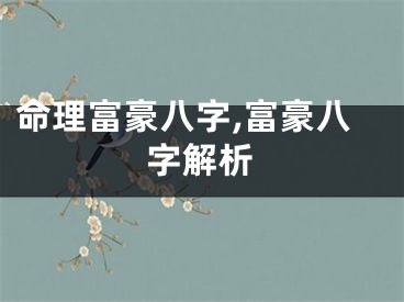 命理富豪八字,富豪八字解析