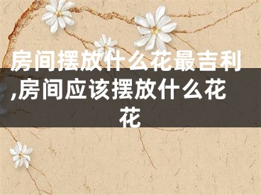 房间摆放什么花最吉利,房间应该摆放什么花花