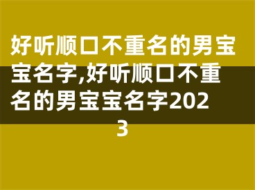 好听顺口不重名的男宝宝名字,好听顺口不重名的男宝宝名字2023