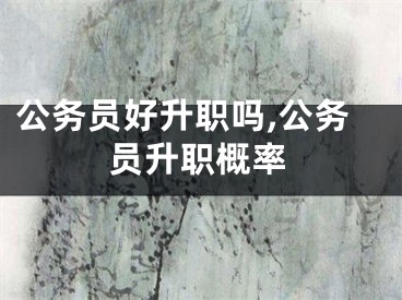 公务员好升职吗,公务员升职概率