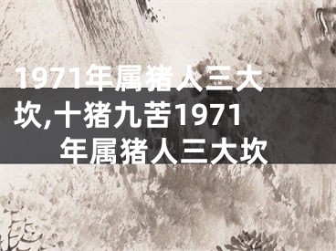1971年属猪人三大坎,十猪九苦1971年属猪人三大坎