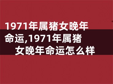 1971年属猪女晚年命运,1971年属猪女晚年命运怎么样