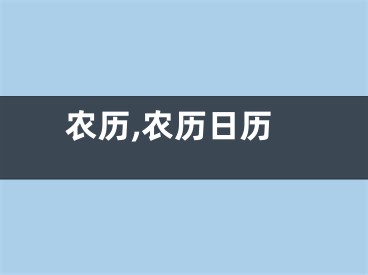 农历,农历日历
