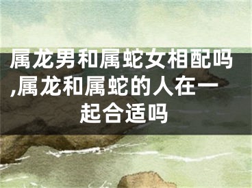 属龙男和属蛇女相配吗,属龙和属蛇的人在一起合适吗