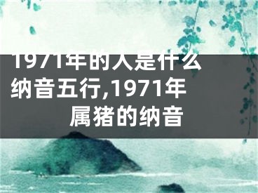 1971年的人是什么纳音五行,1971年属猪的纳音