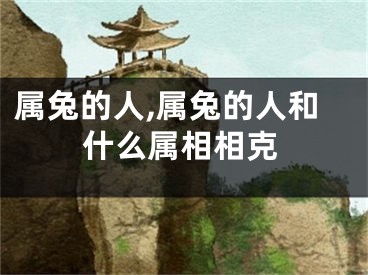 属兔的人,属兔的人和什么属相相克