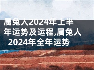 属兔人2024年上半年运势及运程,属兔人2024年全年运势
