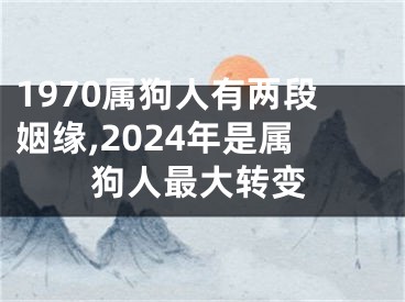 1970属狗人有两段姻缘,2024年是属狗人最大转变