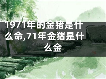 1971年的金猪是什么命,71年金猪是什么金