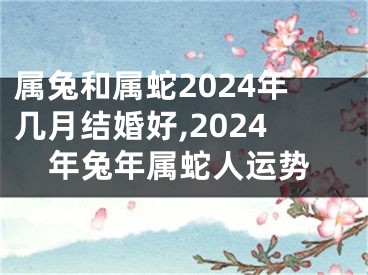 属兔和属蛇2024年几月结婚好,2024年兔年属蛇人运势