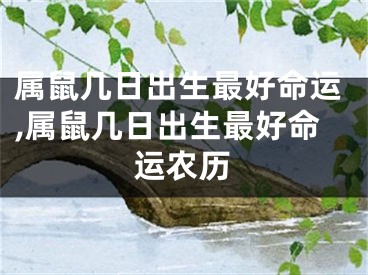 属鼠几日出生最好命运,属鼠几日出生最好命运农历