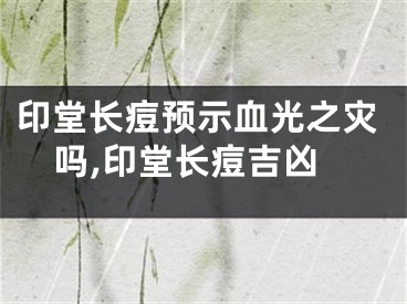 印堂长痘预示血光之灾吗,印堂长痘吉凶