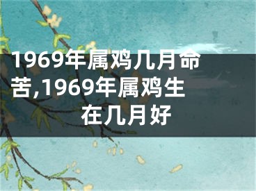 1969年属鸡几月命苦,1969年属鸡生在几月好