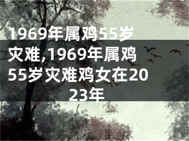 1969年属鸡55岁灾难,1969年属鸡55岁灾难鸡女在2023年