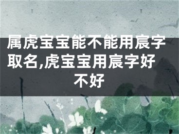 属虎宝宝能不能用宸字取名,虎宝宝用宸字好不好