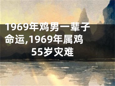 1969年鸡男一辈子命运,1969年属鸡55岁灾难