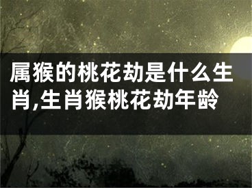 属猴的桃花劫是什么生肖,生肖猴桃花劫年龄