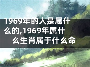 1969年的人是属什么的,1969年属什么生肖属于什么命