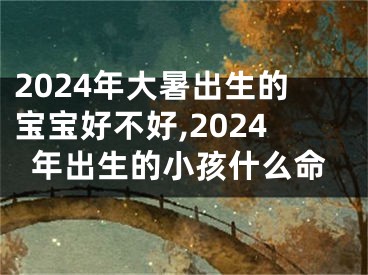 2024年大暑出生的宝宝好不好,2024年出生的小孩什么命