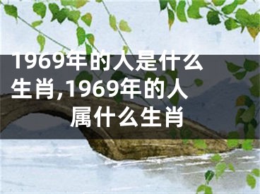 1969年的人是什么生肖,1969年的人属什么生肖