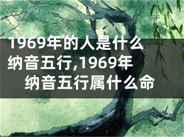 1969年的人是什么纳音五行,1969年纳音五行属什么命