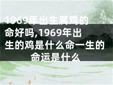 1969年出生属鸡的命好吗,1969年出生的鸡是什么命一生的命运是什么