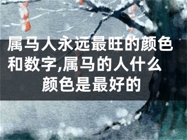 属马人永远最旺的颜色和数字,属马的人什么颜色是最好的