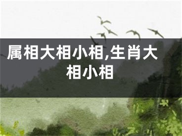 属相大相小相,生肖大相小相