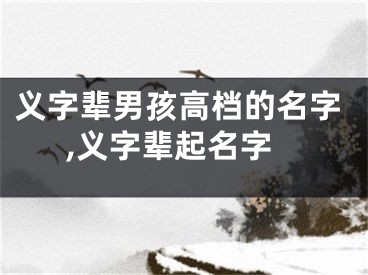 义字辈男孩高档的名字,义字辈起名字
