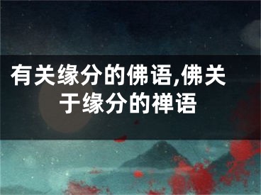 有关缘分的佛语,佛关于缘分的禅语