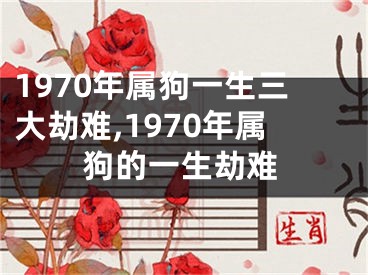1970年属狗一生三大劫难,1970年属狗的一生劫难
