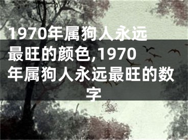 1970年属狗人永远最旺的颜色,1970年属狗人永远最旺的数字
