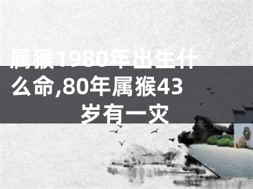 属猴1980年出生什么命,80年属猴43岁有一灾