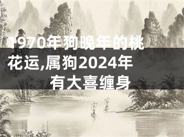 1970年狗晚年的桃花运,属狗2024年有大喜缠身