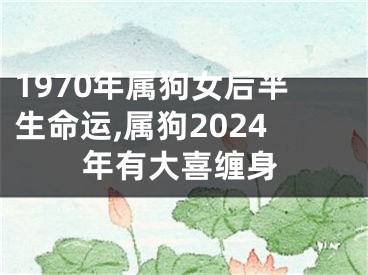 1970年属狗女后半生命运,属狗2024年有大喜缠身