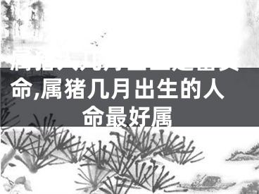 属猪人几月出生是富贵命,属猪几月出生的人命最好属