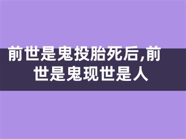 前世是鬼投胎死后,前世是鬼现世是人