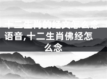 十二生肖的经文怎么念语音,十二生肖佛经怎么念